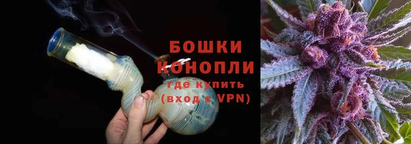 дживик Бронницы