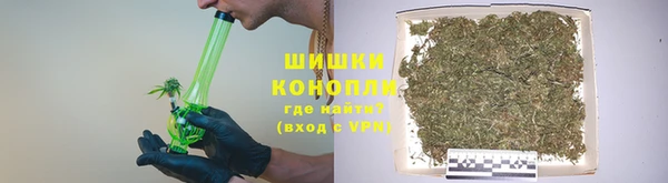 дживик Бронницы
