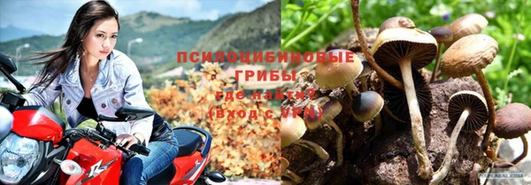 дживик Бронницы