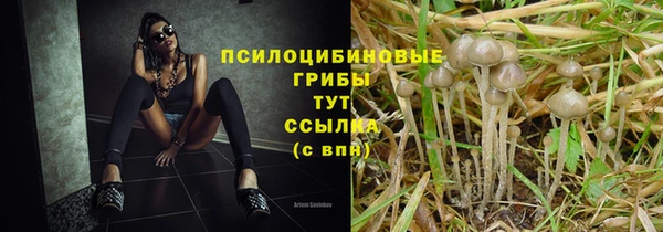 круглые Бородино
