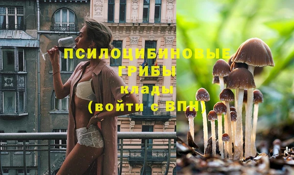дживик Бронницы