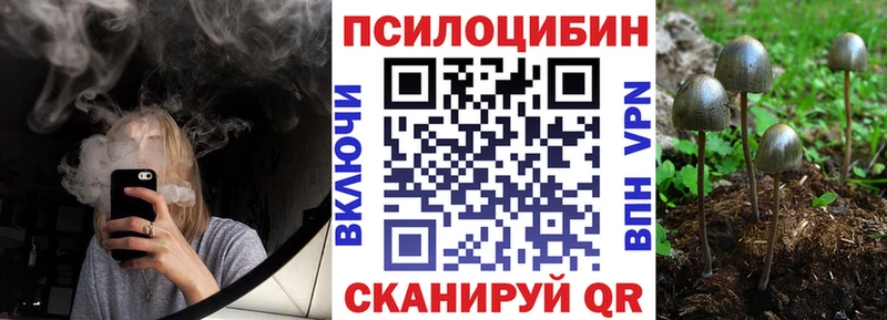 мега зеркало  как найти закладки  Кемерово  Псилоцибиновые грибы Psilocybine cubensis 
